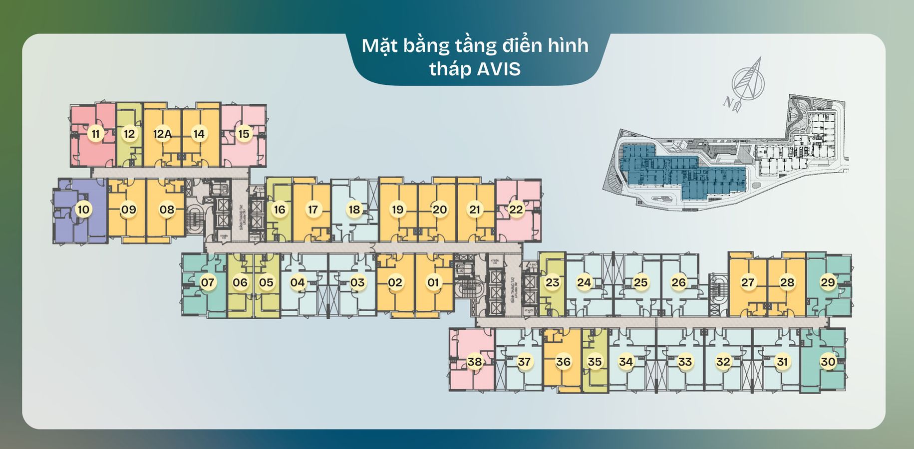 Mặt bằng tầng điển hình tháp Avis dự án TT Avio